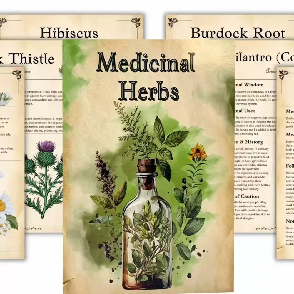 Herbal Wellness For You - สมุนไพร: คู่มือภาพสำหรับการระบุชนิดพืชป่า สร้างสรรค์ยาสมุนไพรธรรมชาติ และสร้างกิจวัตรสุขภาพสมุนไพรที่อ่อนโยนในชีวิตประจำวัน